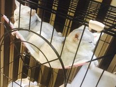 -津菜宋记老房子(鼓楼店)