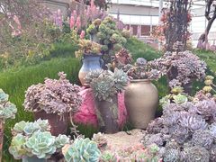 -沂蒙云瀑洞天景区