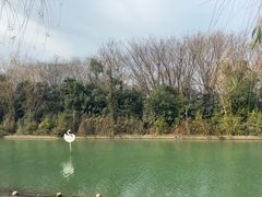 -天鹅湖体育公园