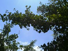 android_upload_pic-旺山景区