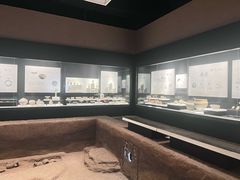 -上海崧泽遗址博物馆