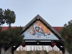 -上海海湾国家森林公园