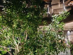 -和苑酒家·一线江景(星寰店)