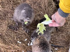 -常州淹城野生动物世界