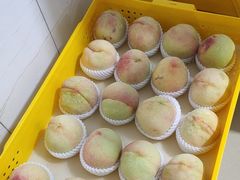 -老袁家蜜桃农场·阳山水蜜桃