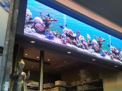-上宴精品海鲜姿造(晶融汇旗舰店)
