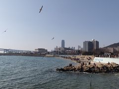 -黑石礁公园