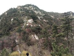 -沂蒙山旅游区云蒙景区(蒙山国家森林公园)
