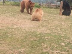 -无锡动物园·太湖欢乐园