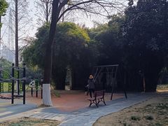 -堤角公园