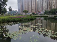 -花果园湿地公园