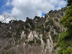 -王顺山国家森林公园