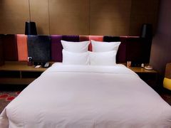 -南京禄口机场雅高铂尔曼大酒店