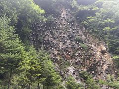 -神农架景区
