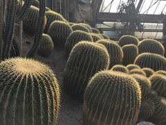 -南山植物园