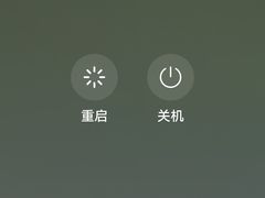 -嘉华鲜花饼(束河店)