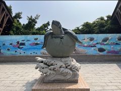 -广东惠东海龟国家级自然保护区