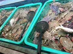 -丰卓会海鲜自助(中润大道店)