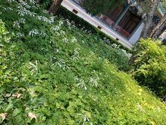 -国家图书馆·古籍馆