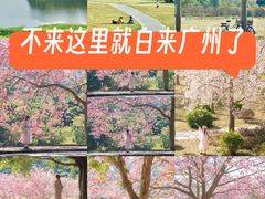 -风云岭森林公园