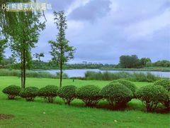 -滨湖塘西河公园