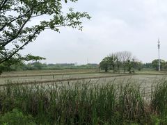 -广富林郊野公园