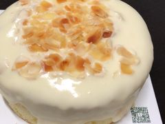 -维尔纳斯·生日蛋糕动物奶油冰淇淋蛋糕(人大店)