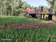 -国家植物园南园