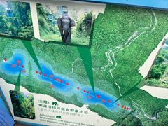 -野象谷景区