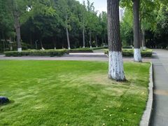 -苏州河梦清园环保主题公园