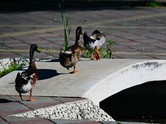 -太阳宫公园