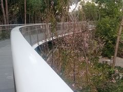 -狐尾山公园