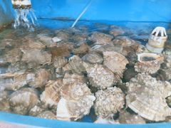 -京秀缘蒸汽海鲜农家菜大馅蒸饺