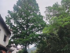 -绩溪龙川景区