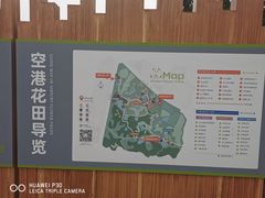 -空港花田景区