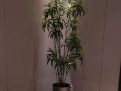 -东方威尼斯温泉酒店