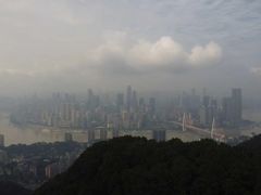 -南山植物园