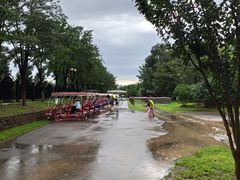 -永定河休闲森林公园