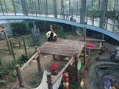 -大连森林动物园