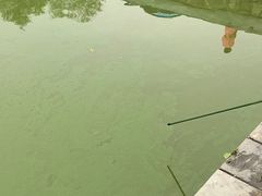 -红栌温泉山庄生态美食餐厅