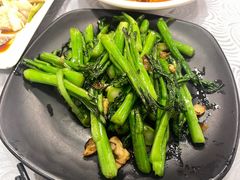 生炒连州菜心-粤·向群饭店(龙津东路总店)