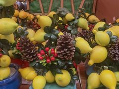 -越秀西湖花市(广州城市广场花卉店)
