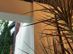 -自由生长植物工作室(深港花卉中心店)