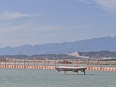 -盐湖景区
