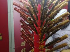 -和禄德冰糖葫芦