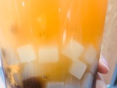 -CoCo都可(惠福店)