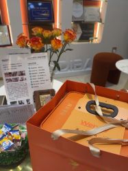 -WENDY·温迪皮肤管理