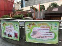 -中国福利会少年宫