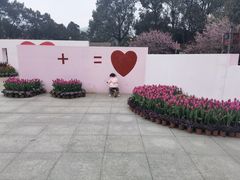 -南山植物园