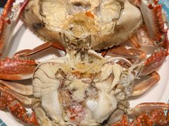 -北塘海鲜·天津菜·鲅鱼水饺是一绝(大光明桥旗舰店)